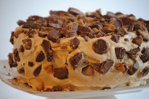 Peanut Butter Fudge Cake
