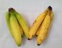 BANANA – interesting&nbsp;FACTS